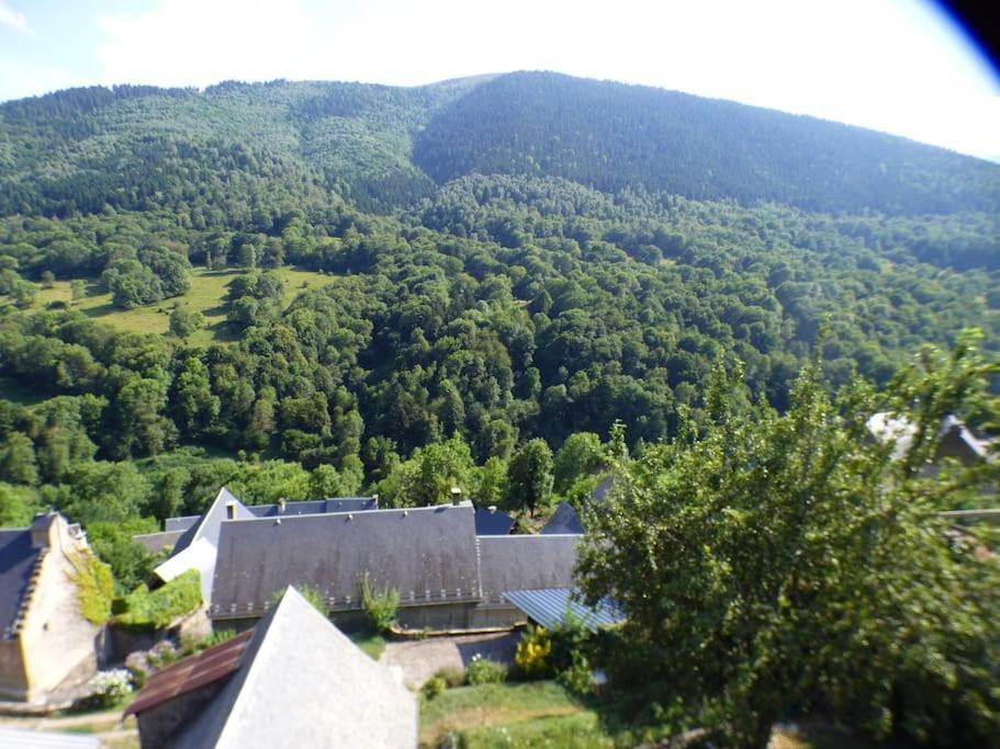 Maison Familiale Pour 8 Saint-Aventin Kültér fotó