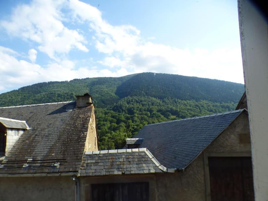 Maison Familiale Pour 8 Saint-Aventin Kültér fotó